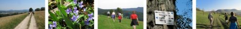 wandertraining-collage