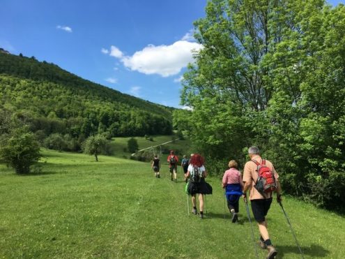 Zipfelbachtal - Schopflocher Moor - Rauber