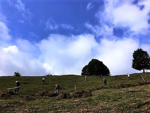 201707162036131_2448-jpg