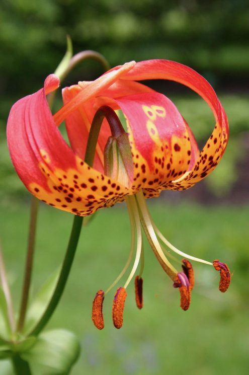 202107051926211_2448