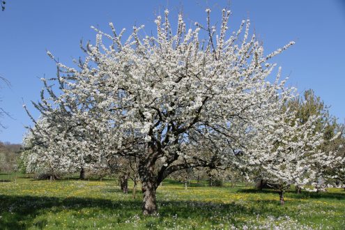 202203282217111_2448