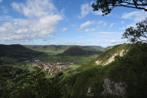 202208021013241_2448