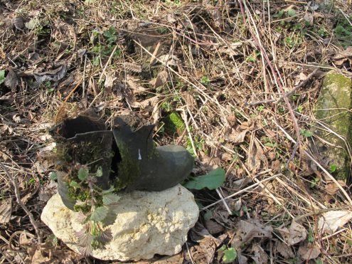 202402190959451_2448